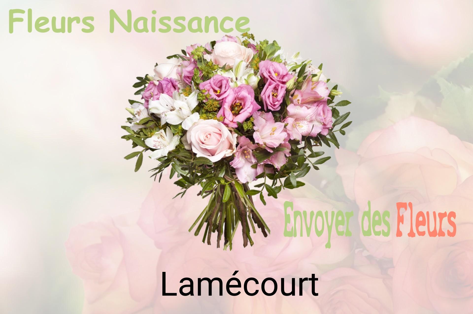 Bouquet de fleurs de naissance livré à Lamécourt